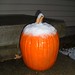 Mark Harty Photo 5