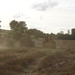 John Parham Photo 17