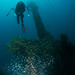 Barry Moller Photo 4