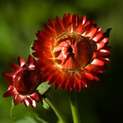 Paula Mccabe Photo 23