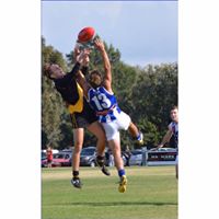 Corey Field Photo 23