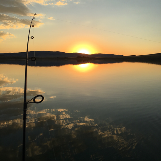 Debra Gilbert Photo 17