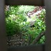 Nancy Peeks Photo 5