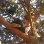 Elvis Lopez Photo 46