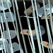 Carlos Berio Photo 10