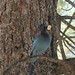 Buddy Skinner Photo 6
