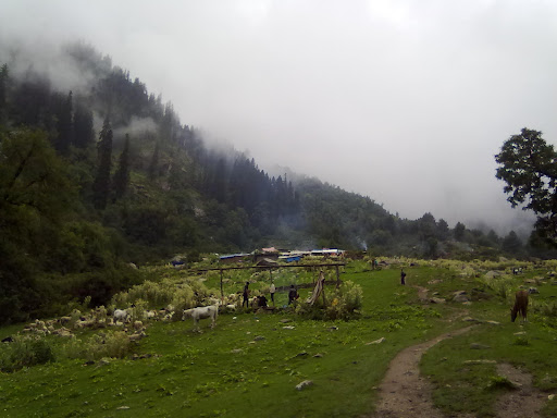 Brij Lal Photo 17