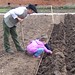 Lucy Plant Photo 5