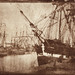Barbara Gray Photo 10