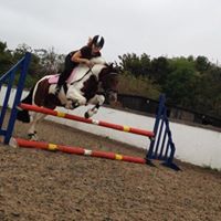 Alisha Frederick Photo 6