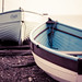 Len Ly Photo 2