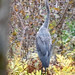 Steven Brooks Photo 13