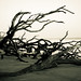 Christine Talbot Photo 14