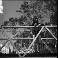Daniel Shield Photo 31