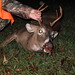Buck Brown Photo 13