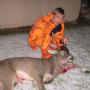 David Koop Photo 9
