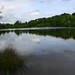 Geoffrey Lear Photo 11