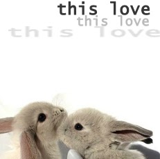 Cynthia Xue Photo 4