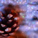 Sparkle Brown Photo 7