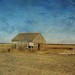 Joseph Newberry Photo 8