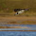 Bryan Hunt Photo 9