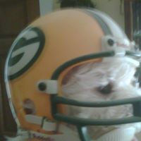 Paul Lombardi Photo 27