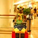 Thomas Caden Photo 6