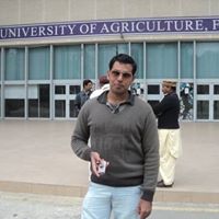 Nasar Bhatti Photo 3