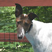 Lacey Harper Photo 6