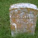 Robert Cook Photo 12
