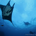 Ray Wu Photo 12