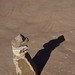 Mark Cairns Photo 12