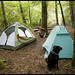 Sally Wood Photo 6
