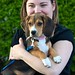 Catherine Beagle Photo 4