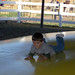 Jared Bauman Photo 6