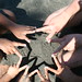 Eileen Alvarez Photo 15