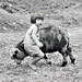 Marilyn Schroeder Photo 9