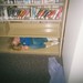 Kathryn Curl Photo 6