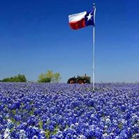 Ron Finley Photo 25
