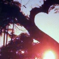 Karen Shuler Photo 14