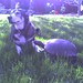 Timmy So Photo 3