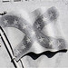 William Loring Photo 13