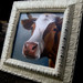 Cari Hill Photo 8