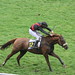 Marc Diamant Photo 6