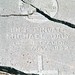 Michael Daly Photo 19