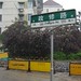 Xiu Zheng Photo 11