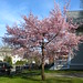 Clark Bloom Photo 8