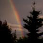 Lori Beckwith Photo 28