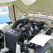 Robert Catton Photo 9
