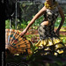 Marvin Chua Photo 5